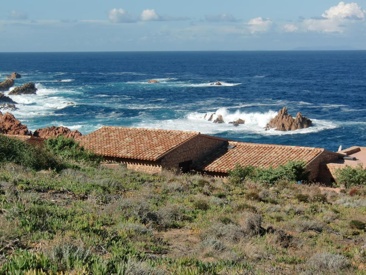 Romantica E Accogliente Casa In Costa Paradiso Leilighet Eksteriør bilde